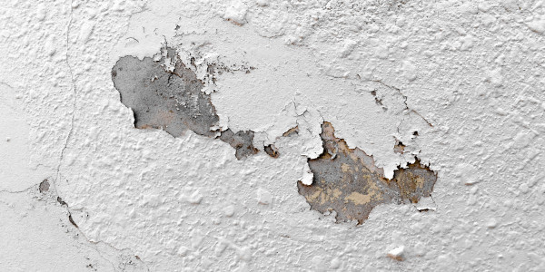 Pintar Fachadas de Naves Industriales, Fábricas y Almacenes en Alcorcón · Pintura Antihumedad / Antimoho para Humedades / Moho
